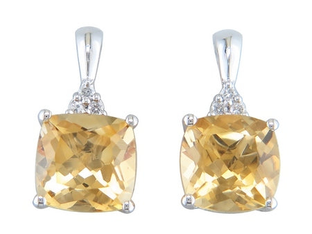 14KW Garnet Dia Dia-E07563