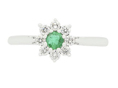 14KW Emer Dia Dia-R20911