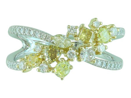 14KTT Natural Fancy Color Diamond Dia Dia-RG6089