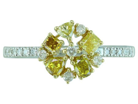 14KTT Natural Fancy Color Diamond Dia Dia-RG6231